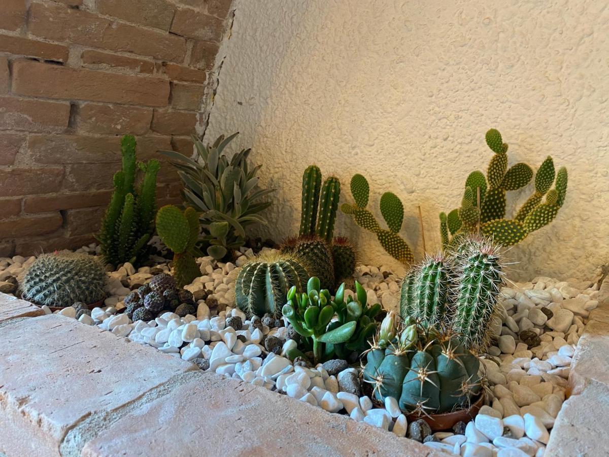 Cactus Suite 比萨 外观 照片